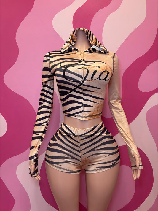 Zebra Gia